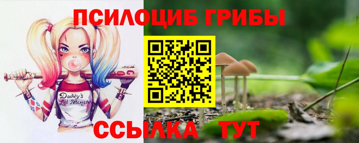 Галлюциногенные грибы GOLDEN TEACHER Ессентуки